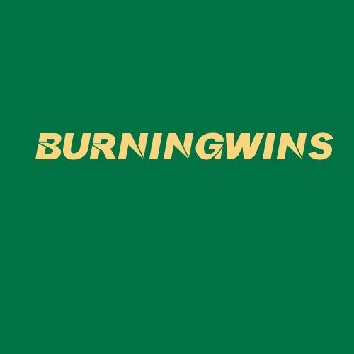 Logo da BURNINGWINS